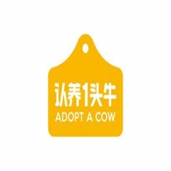 ADOPT A COW认养一头牛